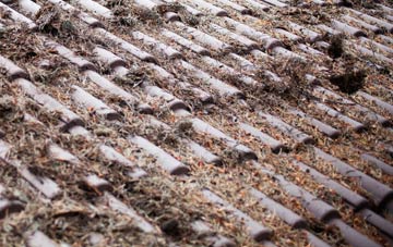 Quintrell Downs roof cleaning companies